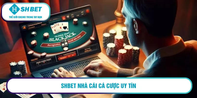 Đại lý Shbet – Được trả thưởng uy tín và hoa hồng cực hấp dẫn 1 Shbet nhà cái cá cược uy tín