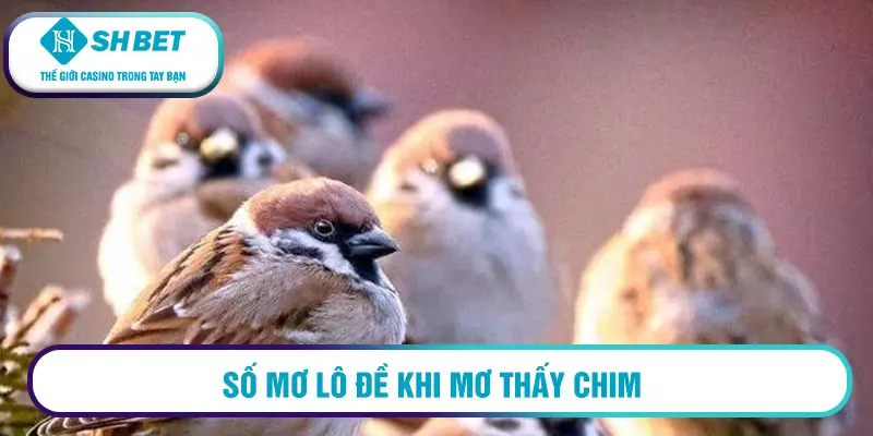 Số mơ lô đề khi mơ thấy chim