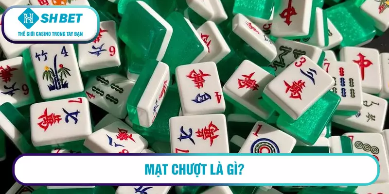 Mạt chượt là gì?